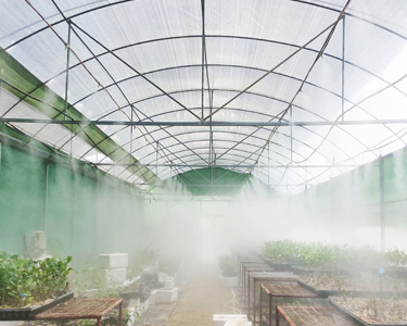 Effect and application of humidifying spray in greenhouses
